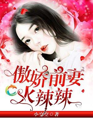 傲娇前妻火辣辣