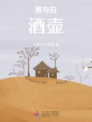 黑与白：酒壶